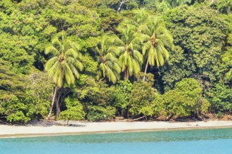Beach, Manuel Antonio National Park, Quepos, Costa Rica