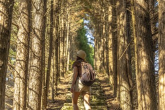 Female tourist wearing hat and backpack walking up stone steps in a beautiful tunnel formed by