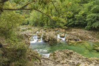 Lush vegetation frames the stunning emerald waters of the sella river in asturias, spain, where