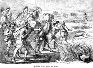 Rebekah sees Isaac in the distance, agriculture, fields, group, camel, rider, cornfield, friends,