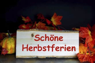 Wooden board with the inscription SCHÖNE HERBSTFERIEN and autumnal decoration