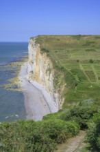 Hiking trail at Valleuse d'Etigue, hike from Etretat to Yport along the chalk cliff coast,