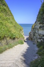 Old concrete access road in the Valleuse d'Etigue, hike from Yport to Etretat along the chalk cliff