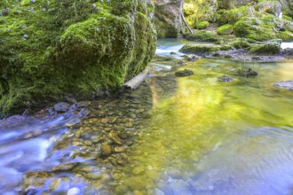 Erlauf Gorge, Purgstall an der Erlauf, Lower Austria, Austria