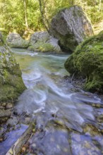Erlauf Gorge, Purgstall an der Erlauf, Lower Austria, Austria