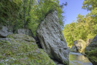 Conglomerate rocks in the Erlauf gorge, Purgstall an der Erlauf, Lower Austria, Austria