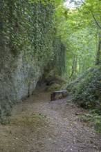 Hiking trail in the Erlauf gorge, Purgstall an der Erlauf, Lower Austria, Austria