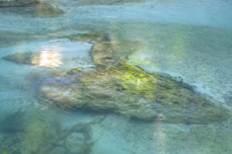 Turquoise water in the Erlauf gorge, Purgstall an der Erlauf, Lower Austria, Austria