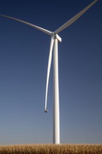Luverne, Minnesota - Workers repair the cracked blade of a wind turbine