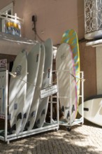 Surfboards for rent, surf shop, in the historic centre of Lagos, Algarve, Portugal