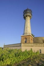 Vines and the lighthouse of, Verzenay, Marne, France
