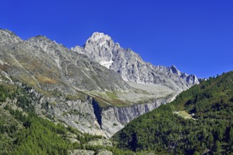 Aiguille du Chardonnet, front foothills of the Argentière glacier, Argentière, Chamonix-Mont-Blanc,