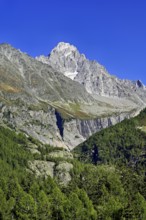 Aiguille du Chardonnet, front foothills of the Argentière glacier, Argentière, Chamonix-Mont-Blanc,