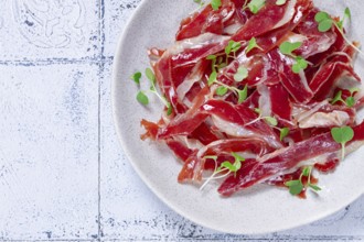 Ham of duck breast, dried duck fillet, with microgreens, plate, on a tiled table