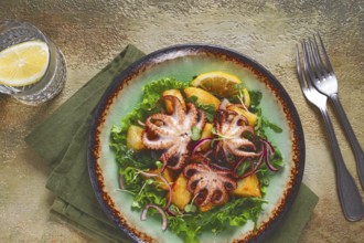 Warm salad, grilled mini octopus, with potatoes and fresh herbs, homemade, no people