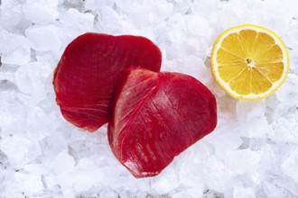 Fresh tuna and lemon, on ice ready, for preparation, at a seafood market