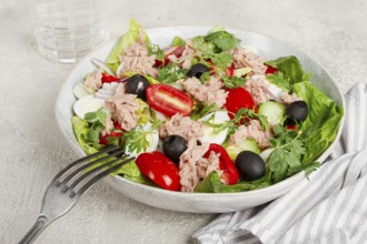 Salad with canned tuna, vegetable salad with quail eggs, lettuce and romaine leaves, red onion,