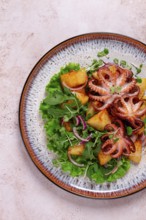 Grilled octopus with baked potatoes and fresh herbs, on a decorative plate, homemade