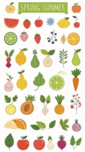 Spring and summer fruit and vegetable element set, vector illustration, AI generated