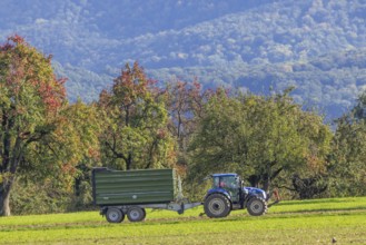 Field work in autumn. A farmer with his tractor in front of the landscape of the Swabian Alb.