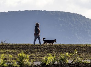 Walking in the backlight. Dog owner with her dog. Kirchheim unter Teck, Baden-Württemberg, Germany
