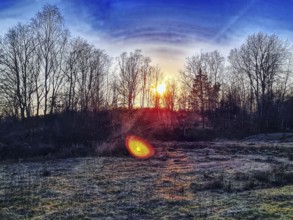 Sunset behind trees with purple-coloured sky and luminous atmosphere. Heaths and rough grassland