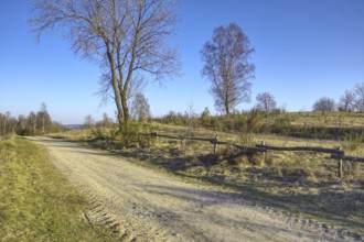 Straight field path with trees and fence under a deep blue sky. NSG heathland and rough grassland