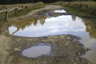 Wet, muddy path with large puddles and a wooden fence next to it. Heath and rough grassland nature