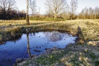 Small pond with water reflection in a meadow landscape with trees. NSG heaths and rough grassland