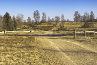 Broad landscape with fields and fences under a clear blue sky. Heaths and rough grassland nature