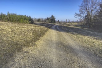 Gravel path between fields and trees under a clear blue sky. NSG heaths and rough grassland near