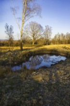 Clear sky over a small pond in an autumn landscape with trees. NSG heaths and rough grassland near