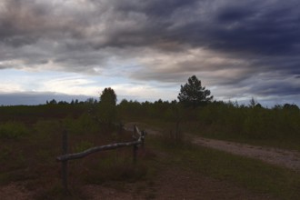 A country lane with an old fence under a cloudy, gloomy evening sky. NSG heaths and rough grassland