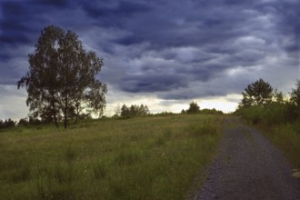 Tranquil landscape with a dirt track and threatening clouds in the sky. NSG heaths and rough