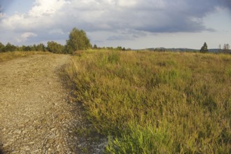 Gravel path through a rural meadow under a cloudy sky. Natural, peaceful surroundings. NSG heaths