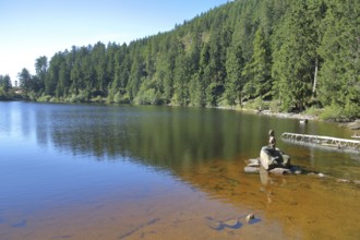Mermaid sitting on a rock in the water, bronze sculpture, modern art, lake nymph, stone, forest,