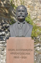 Memorial to African explorer Georg Schweinfurth, bust, inscription, bronze sculpture, Röhrbuckel,