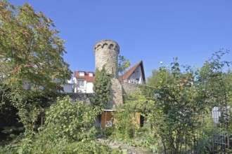 Historic defence defence tower built in the 14th century, town wall, town fortification, allotment