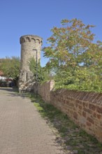 Historic defence defence tower built in the 14th century, town wall, town fortification, Wiesloch,