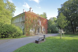 Buildings with ivy in autumn, autumn colours, plant growth, Fürstengarten, Hechingen, Swabian Alb,