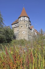 Zollern Castle built ca. 1255 with water tower with grasses, autumn colours, Castle, Balingen,