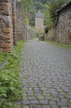 Historic city wall with Werther Tor, city tower, city gate, Wallgasse, city fortifications,