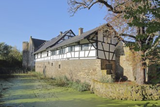 Clover castle built 14th century with moat, moated castle, half-timbered house, pond, Weidesheim,
