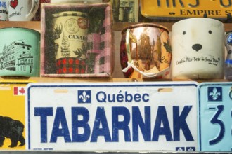Close-up of French Quebecois swear word Tabarnak on ornamental Quebec motor vehicle license plate