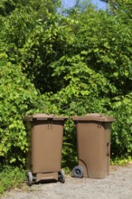 Brown plastic portable composting bins for depositing organic materials and leftover foods in,