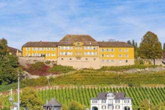 Yellow building on a hill surrounded by vines with an autumnal atmosphere, Meersburg, Lake