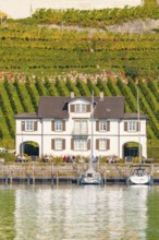 Small house on the lakeshore in front of extensive vineyards with boats in the foreground,
