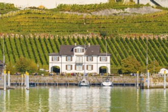 House with boats on the lakeshore against a backdrop of green vineyards, Meersburg, Lake Constance,