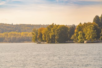 Autumnal shoreline with trees and calm lake, Mainau Island, Lake Constance, Germany