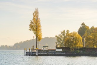 A jetty with trees and yellow leaves extends into a tranquil autumn landscape, Mainau Island, Lake